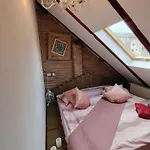 게스트하우스 Casa Anne Boutique 브라쇼브