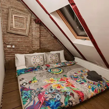 Guest house Casa Anne Boutique Brasov