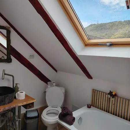 Casa Anne Boutique 4* Brasov