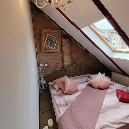 بيت ضيافة Casa Anne Boutique براشوف
