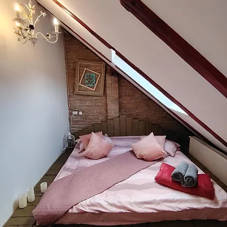 Casa Anne Boutique براشوف