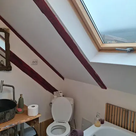 Casa Anne Boutique 4* Brasov