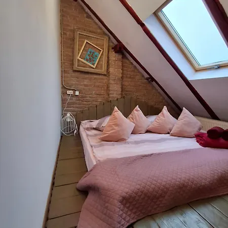Casa Anne Boutique 4* Brasov