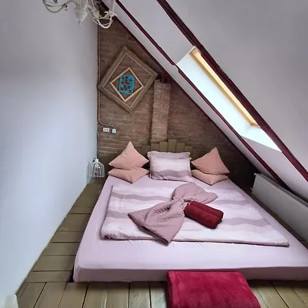 Guest house Casa Anne Boutique Brasov