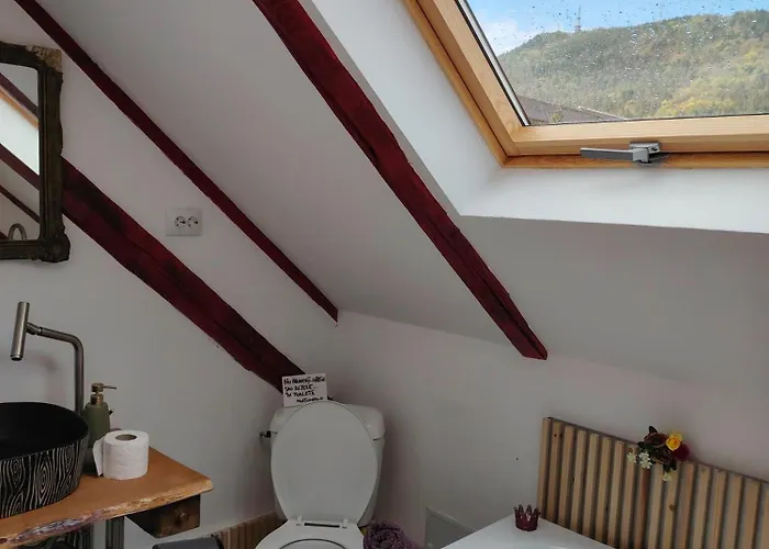 Casa Anne Boutique 3* Брашов